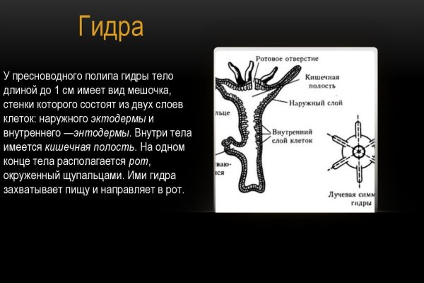 Сайт кракен не работает почему